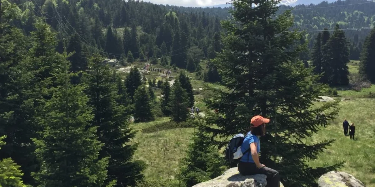 Oubliez dentaire à Antalya : pourquoi les patients internationaux choisissent Bursa pour les traitements dentaires