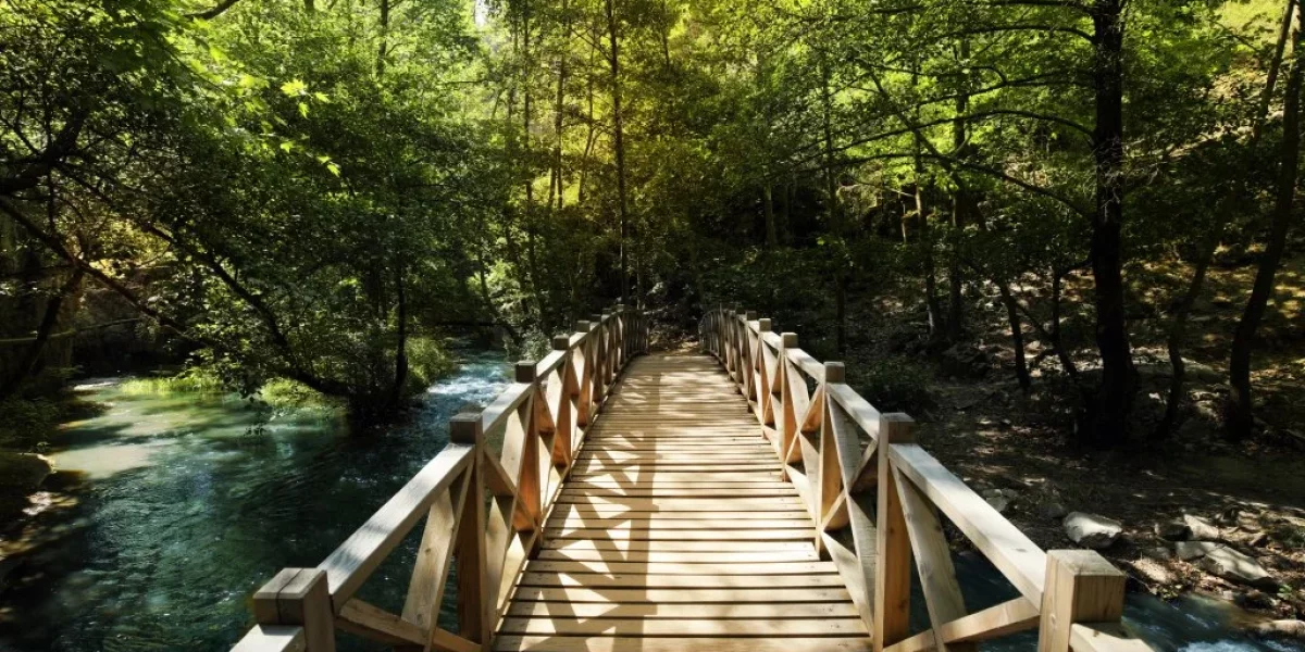 Full Mouth Dental Packages in Turkey: Affordable Luxury Dental Tourism in Bursa